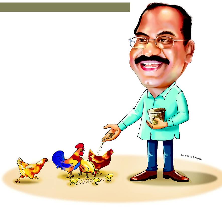 Suguna Chicken Chennai